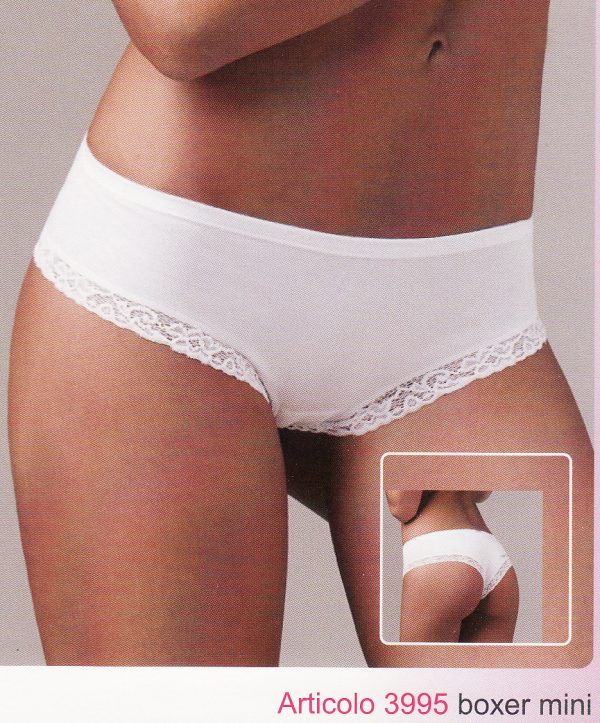 Boxer mini 3995